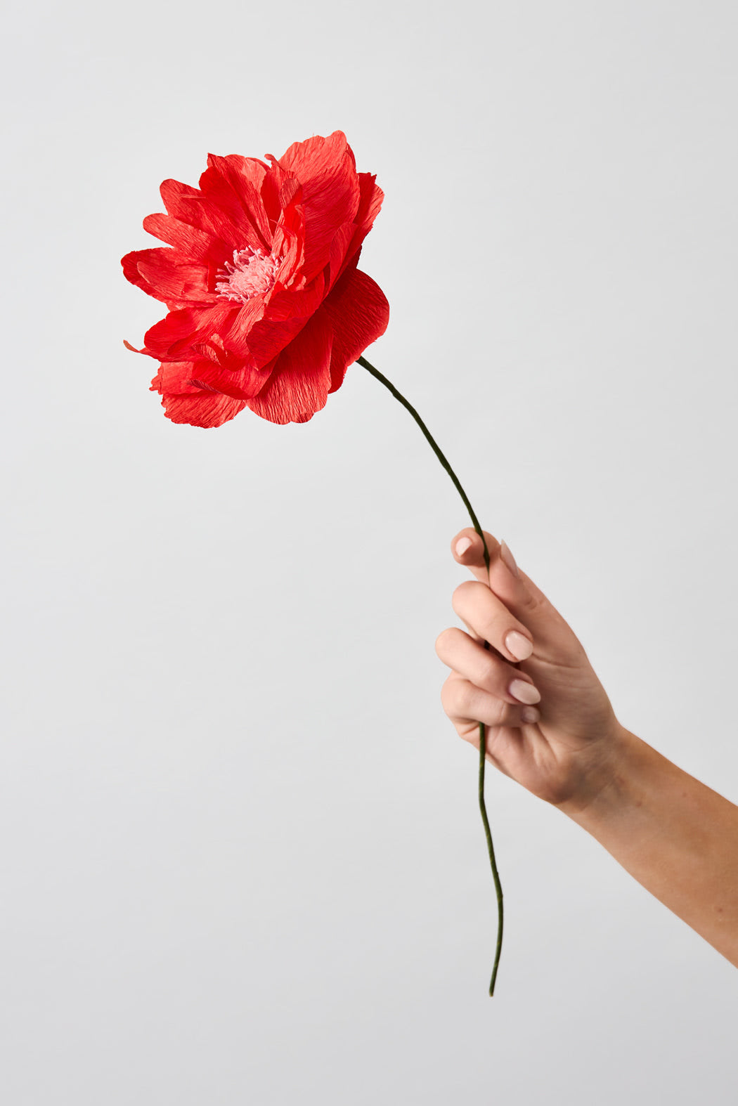 Papirblomst - Oriental Poppy - Red